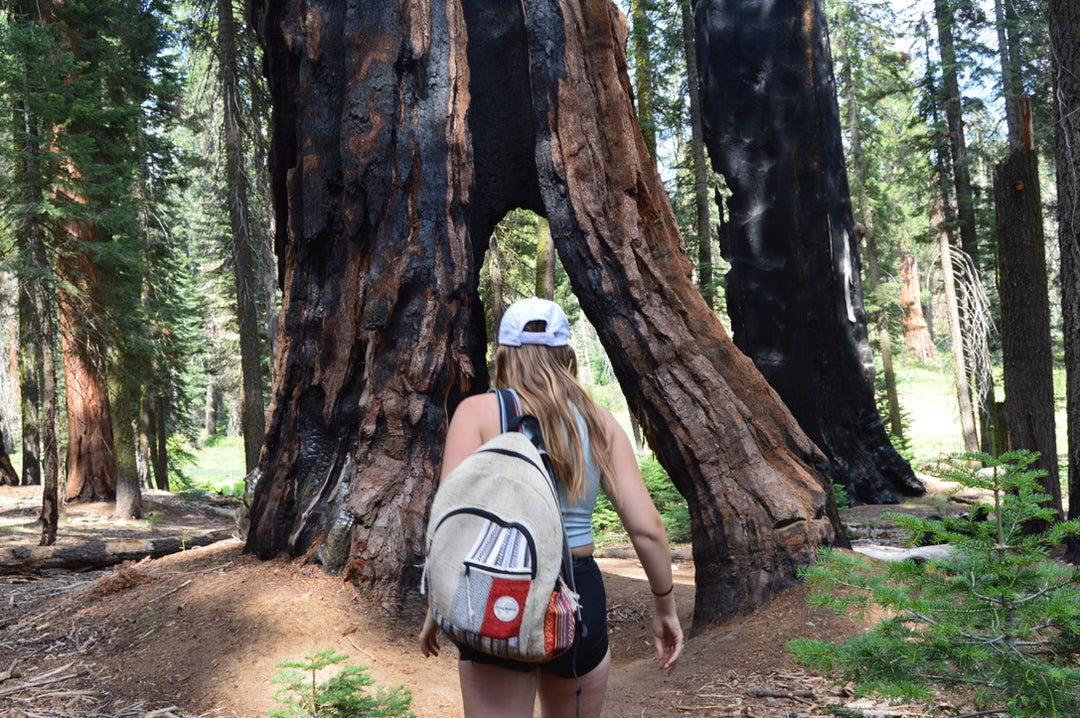 Pure World| Sustainable Hemp Backpacks | High Tide – Pure World™ display picture 3