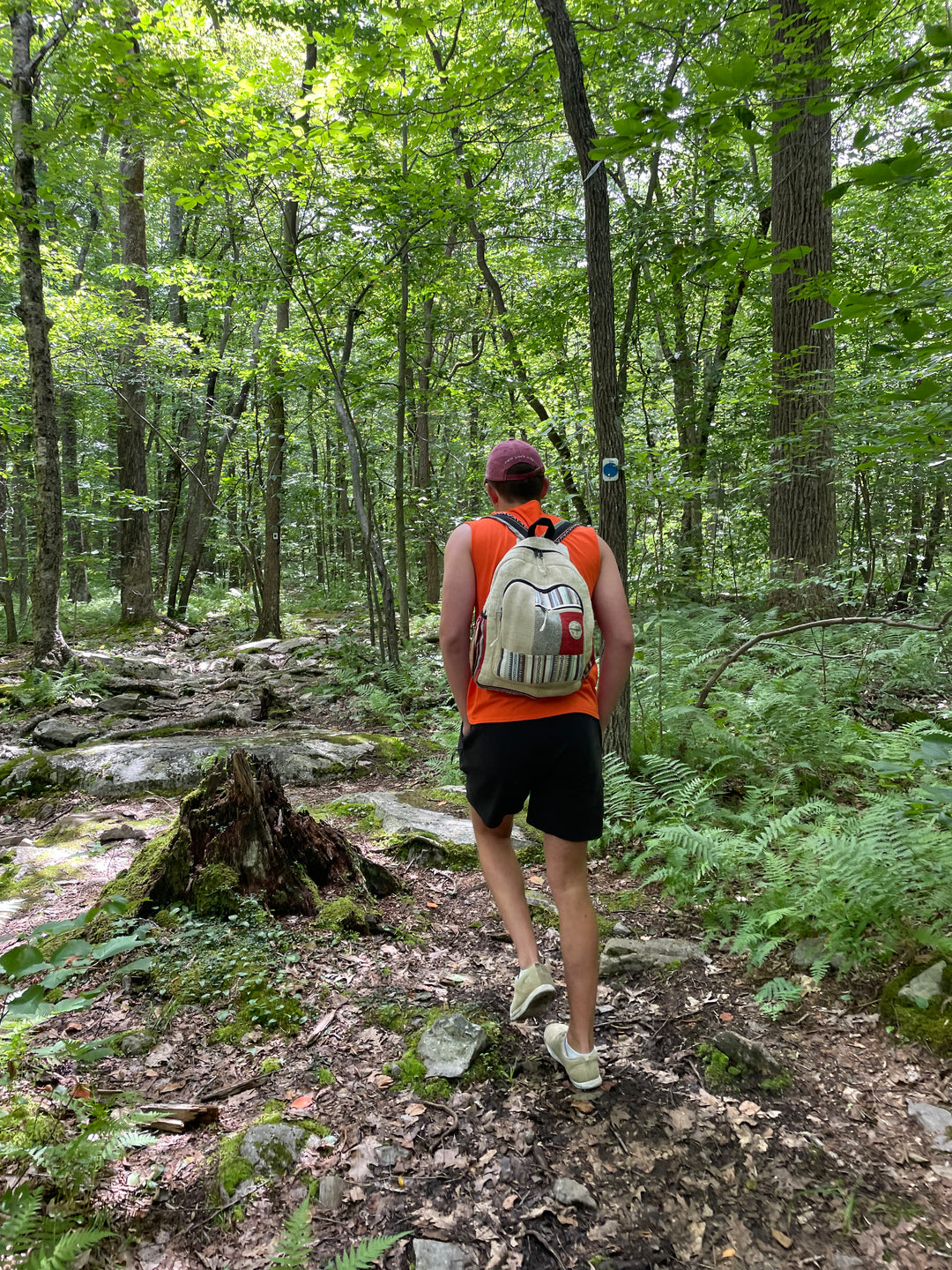 Pure World HIGH TIDE Multicolor Backpack Pure World| Sustainable Hemp Backpacks | Sahara – Pure World™ main image 2